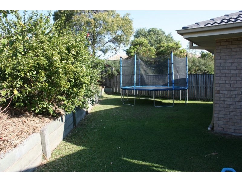 6 Alisma Court, Ormeau QLD 4208