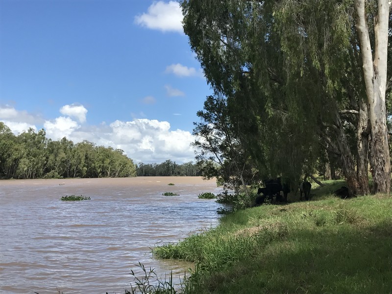 400 South Yaamba Road, Alton Downs QLD 4702