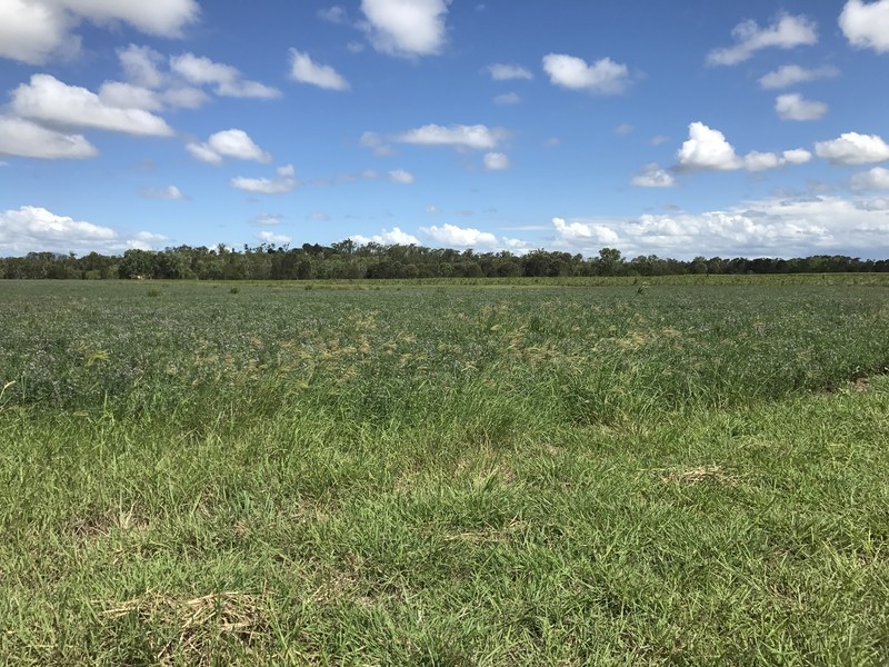 400 South Yaamba Road, Alton Downs QLD 4702