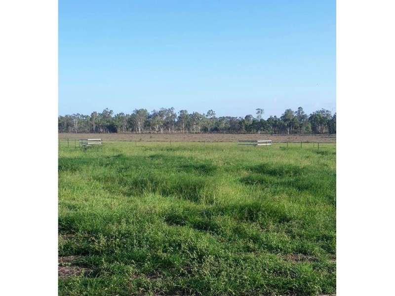 218 South Yaamba Road, Alton Downs QLD 4702