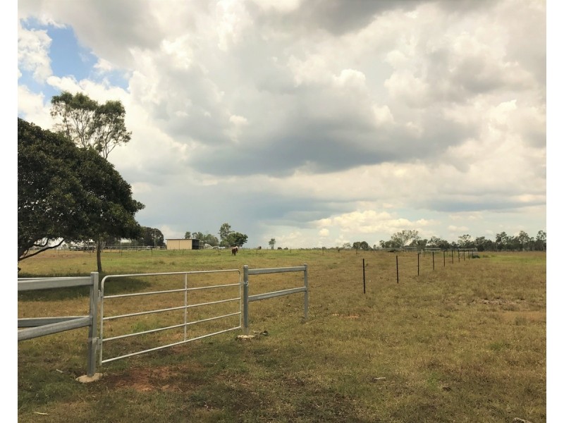 218 South Yaamba Road, Alton Downs QLD 4702