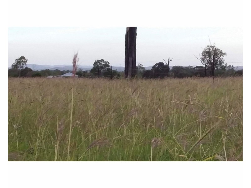 218 South Yaamba Road, Alton Downs QLD 4702