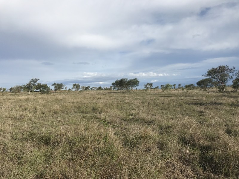 Lot 153,  McKenzie Road, Alton Downs QLD 4702