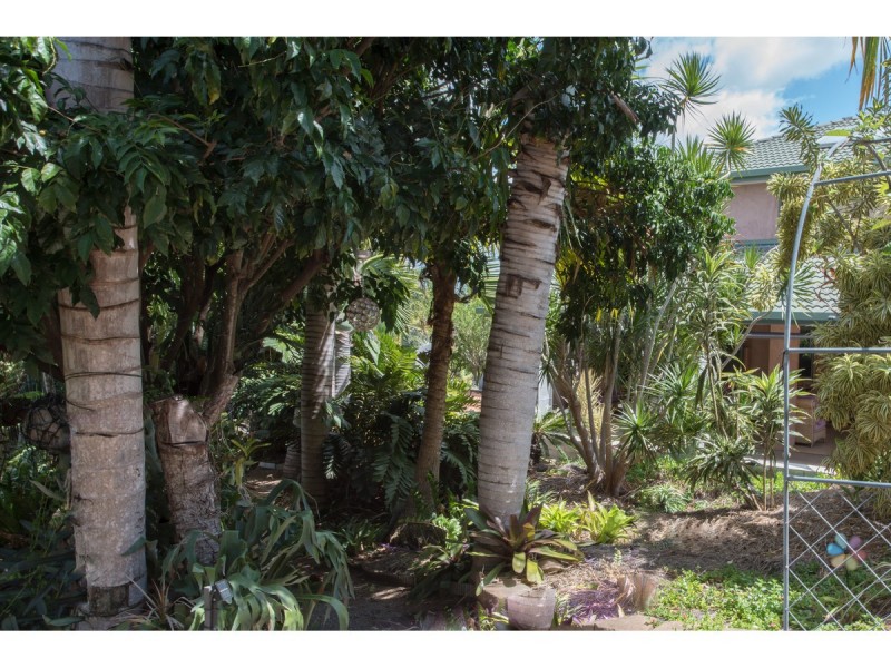 8 Laura Close, Rockyview QLD 4701