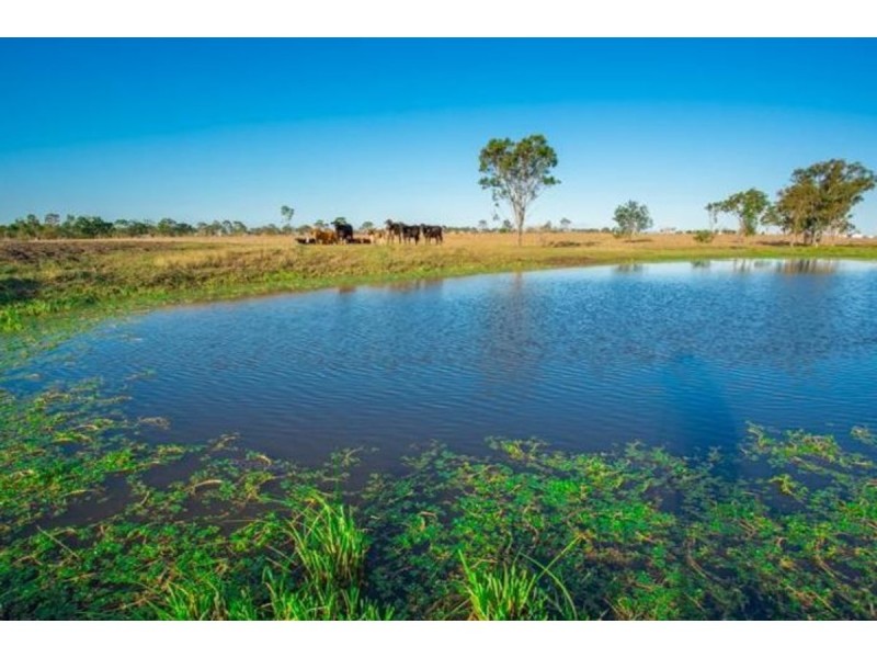 89 Boys Road, Alton Downs QLD 4702