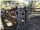30 Bodero Road, Bajool QLD 4699