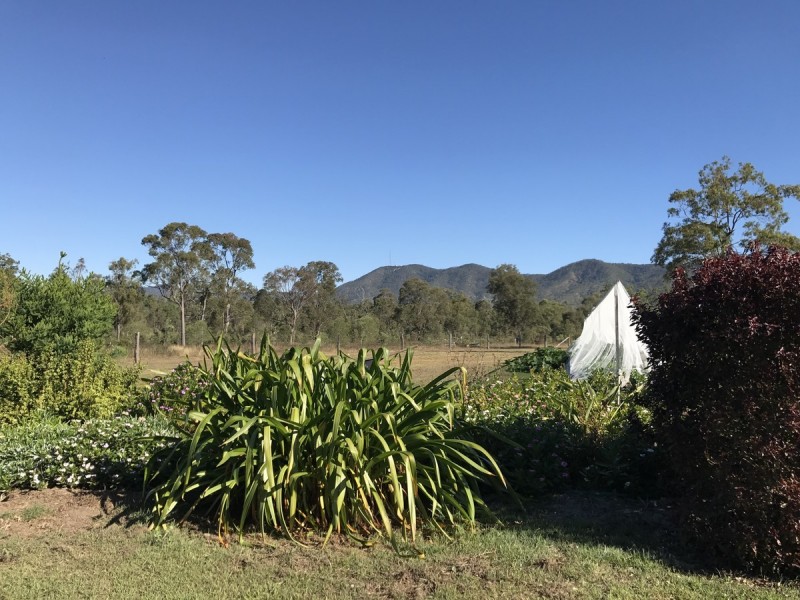 30 Bodero Road, Bajool QLD 4699