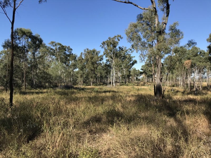 30 Bodero Road, Bajool QLD 4699