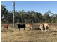 30 Bodero Road, Bajool QLD 4699