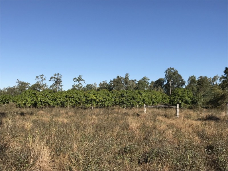 30 Bodero Road, Bajool QLD 4699
