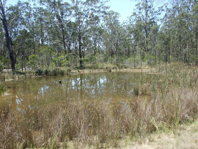 310 Pine Mountain Drive, Mulara QLD 4703