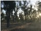 310 Pine Mountain Drive, Mulara QLD 4703