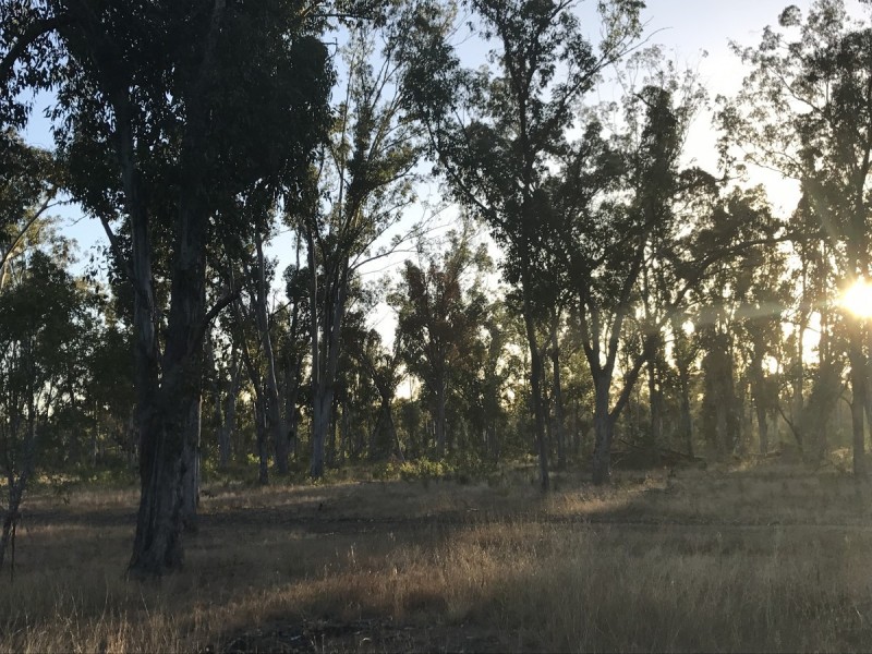 310 Pine Mountain Drive, Mulara QLD 4703