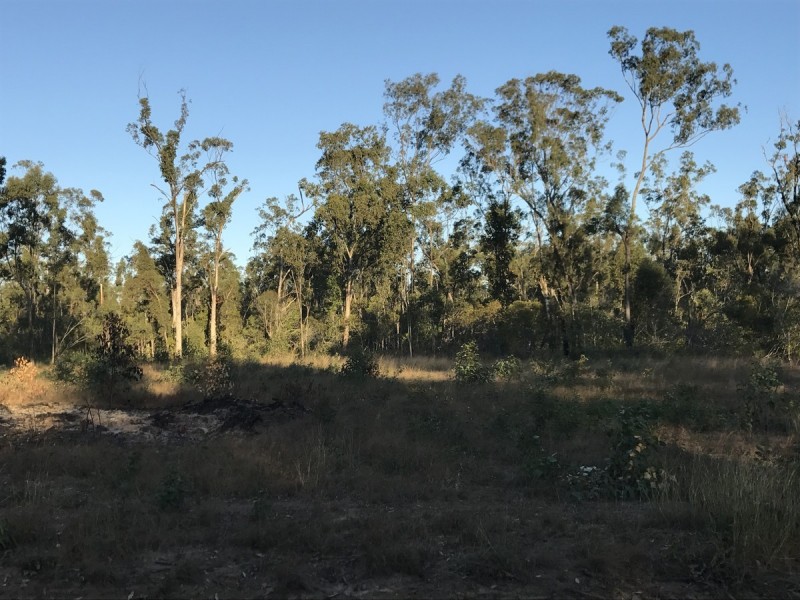 310 Pine Mountain Drive, Mulara QLD 4703