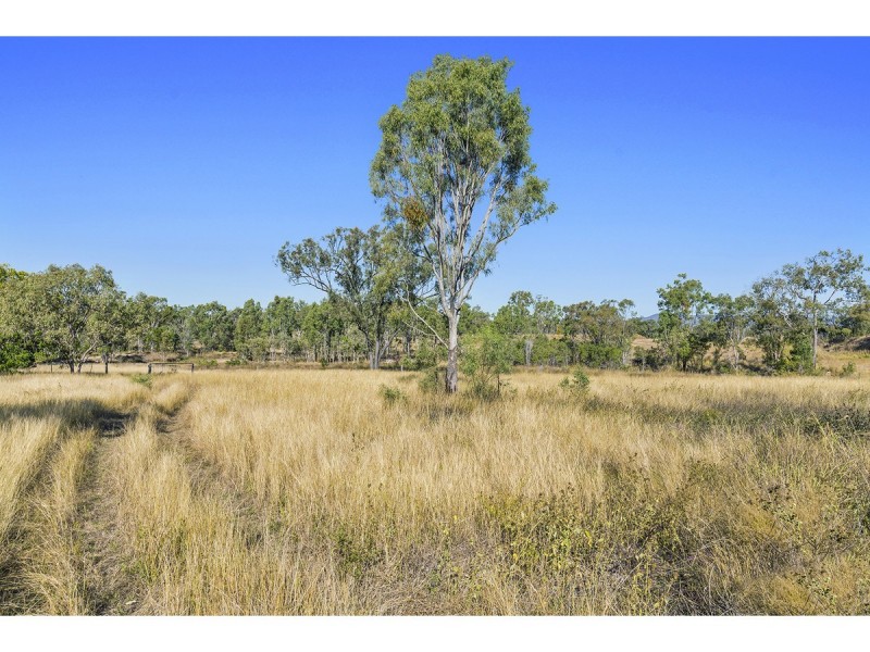 199 Ashford Street, Gracemere QLD 4702