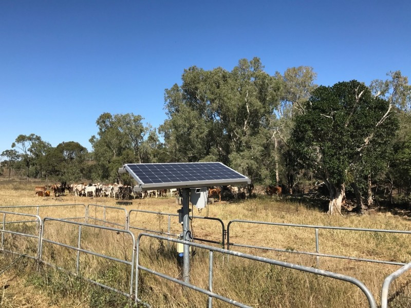 Greenlake Road, Rockyview QLD 4701