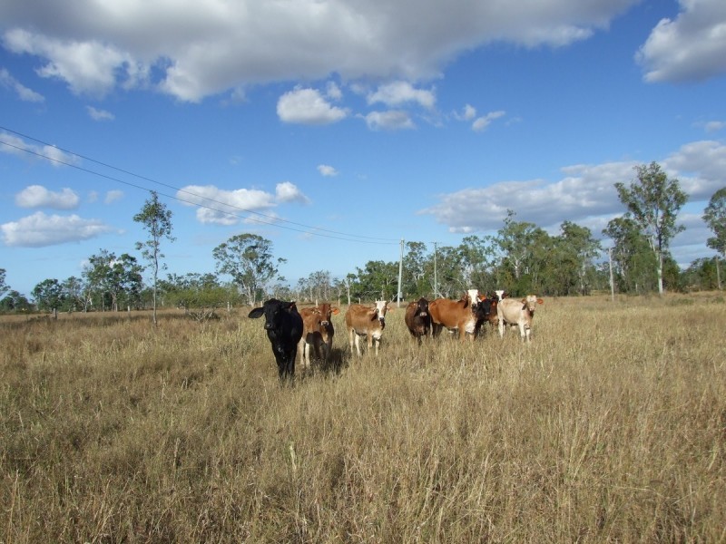 34 Magazine Road, Bajool QLD 4699