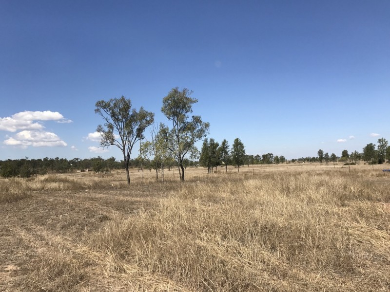 22 Mcquire Road, Alton Downs QLD 4702