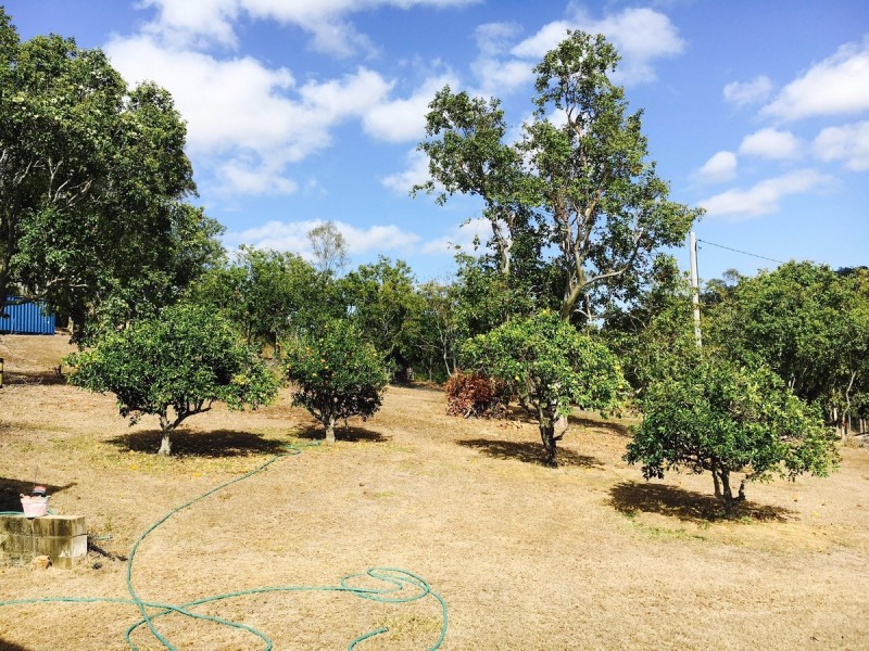 299 Preston Road, Adelaide Park QLD 4703