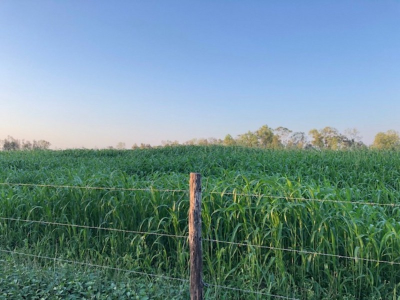 402 Laurel Bank Road, Alton Downs QLD 4702