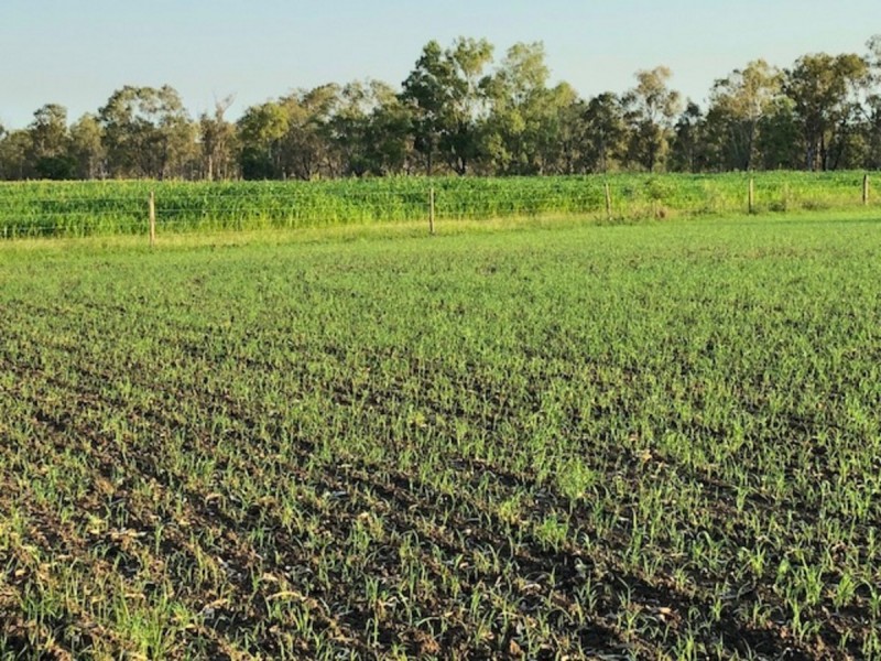 402 Laurel Bank Road, Alton Downs QLD 4702