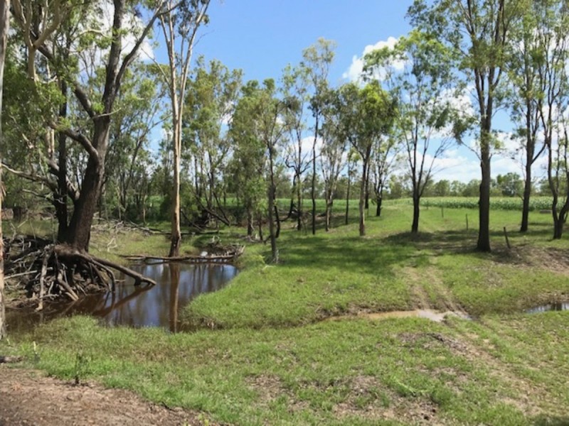 402 Laurel Bank Road, Alton Downs QLD 4702