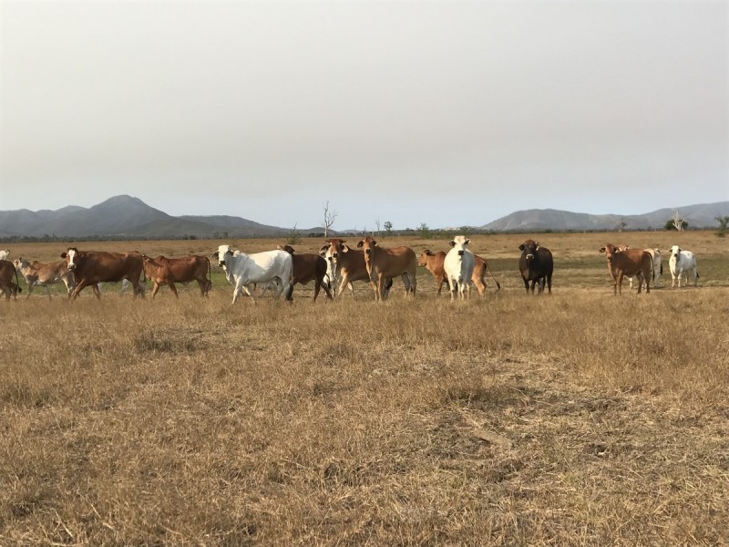 110 River Road, Midgee QLD 4702