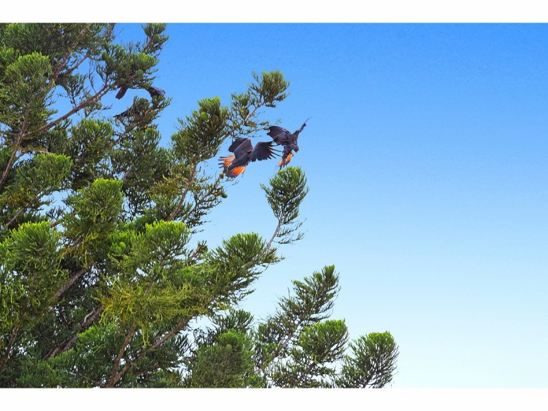 5A Athelstane Street, The Range QLD 4700