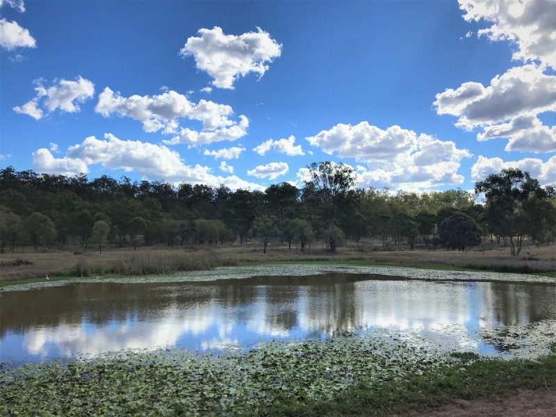321 Olssons Road, Pheasant Creek QLD 4702