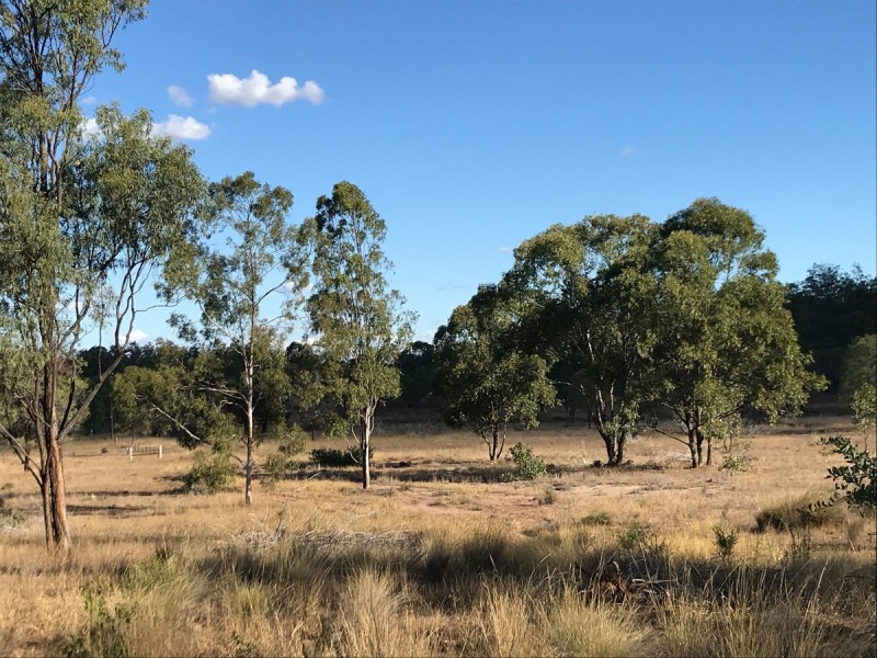 321 Olssons Road, Pheasant Creek QLD 4702