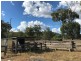 321 Olssons Road, Pheasant Creek QLD 4702