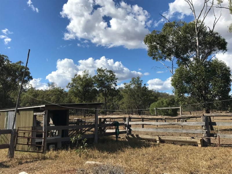 321 Olssons Road, Pheasant Creek QLD 4702