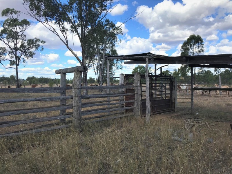 321 Olssons Road, Pheasant Creek QLD 4702