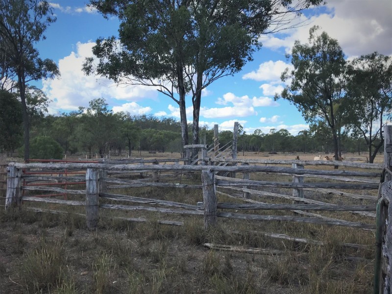 321 Olssons Road, Pheasant Creek QLD 4702