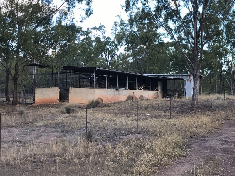 321 Olssons Road, Pheasant Creek QLD 4702