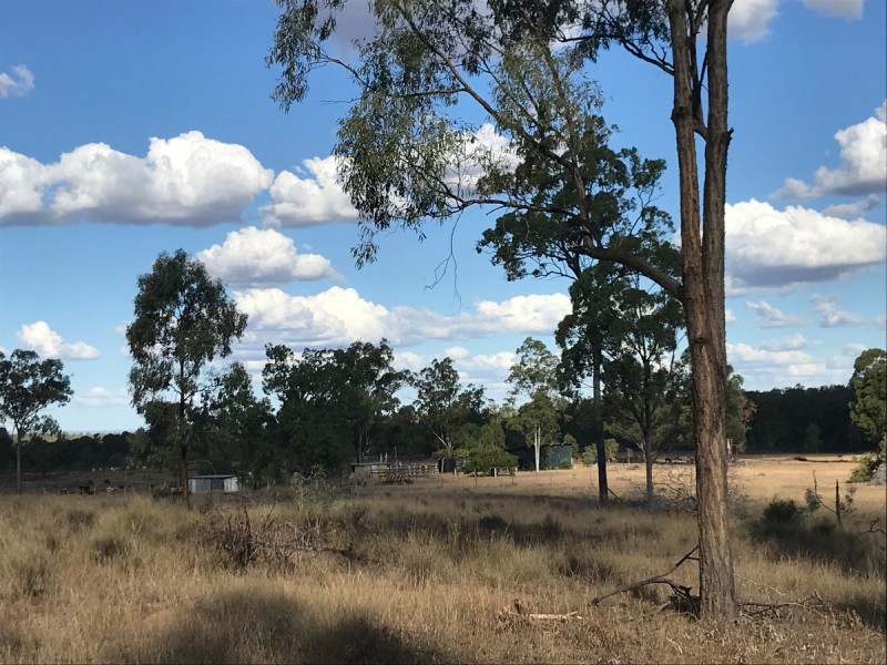 321 Olssons Road, Pheasant Creek QLD 4702