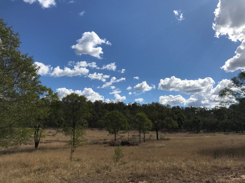 321 Olssons Road, Pheasant Creek QLD 4702