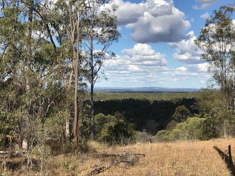 321 Olssons Road, Pheasant Creek QLD 4702