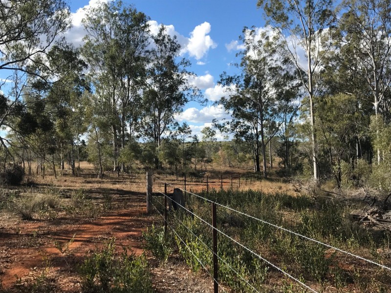 321 Olssons Road, Pheasant Creek QLD 4702