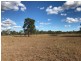 321 Olssons Road, Pheasant Creek QLD 4702