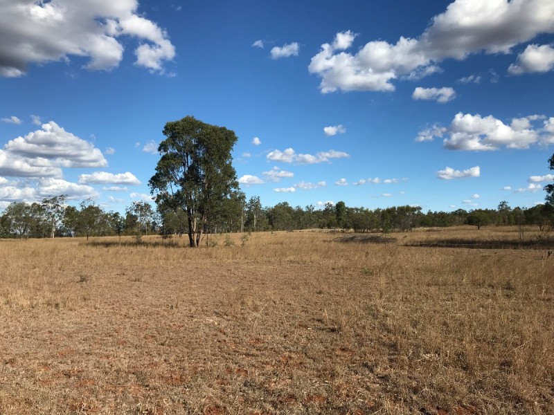 321 Olssons Road, Pheasant Creek QLD 4702