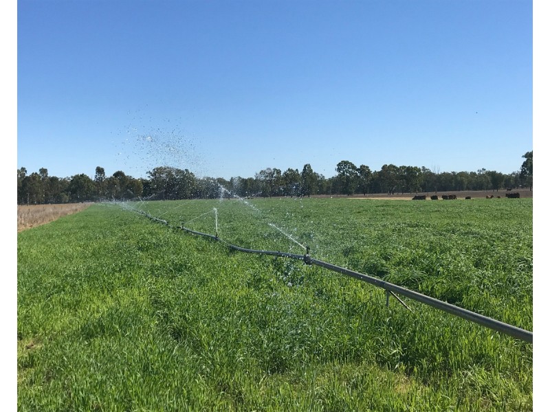 624 Dee River Road, Dululu QLD 4702