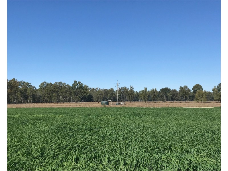 624 Dee River Road, Dululu QLD 4702