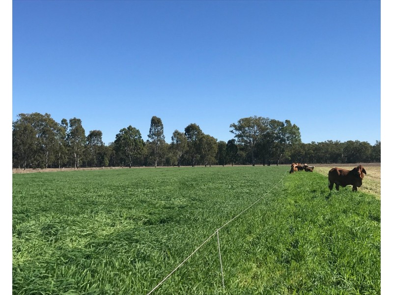 624 Dee River Road, Dululu QLD 4702