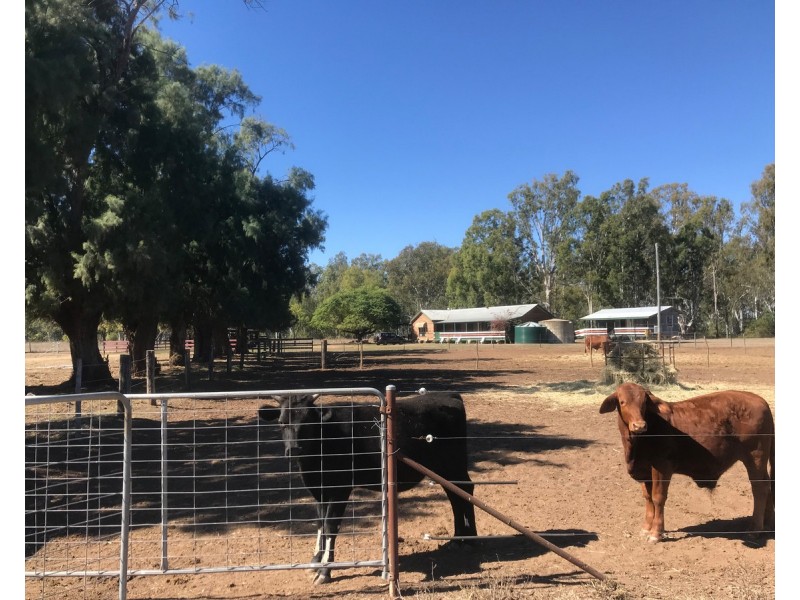 624 Dee River Road, Dululu QLD 4702