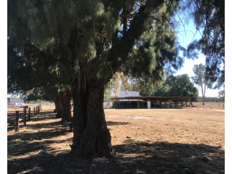 624 Dee River Road, Dululu QLD 4702