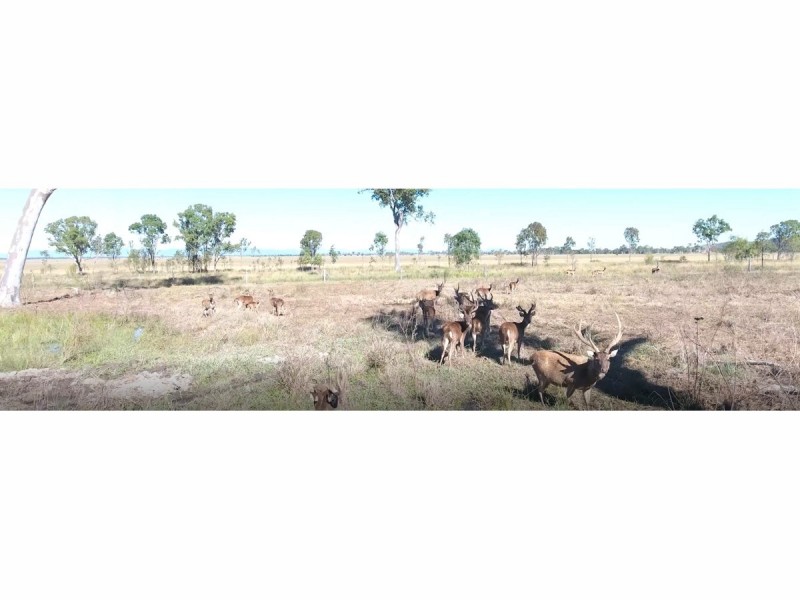 441 Thompson Point Road, Nankin QLD 4701