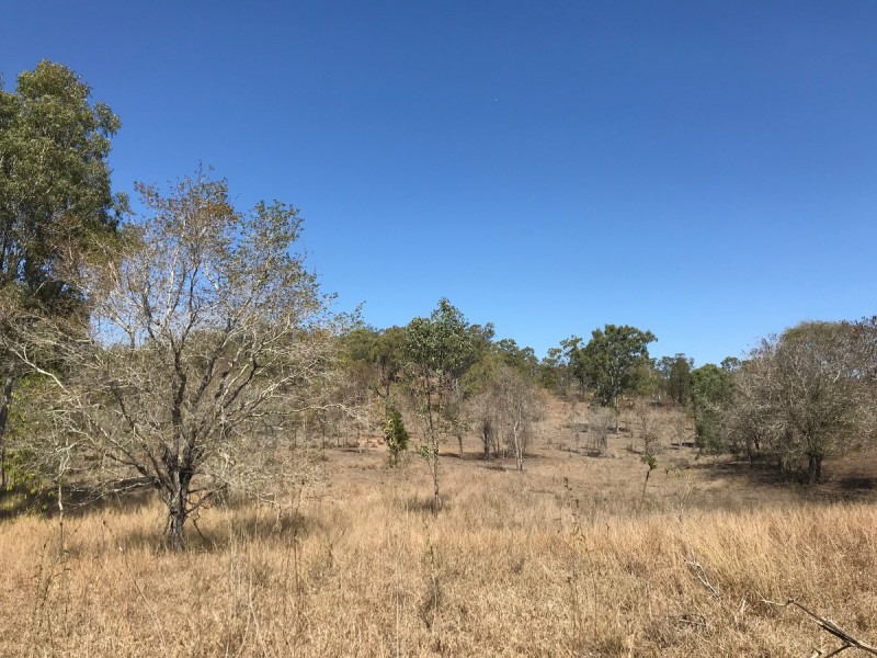 Lot 157 Connors Road, Stanwell QLD 4702