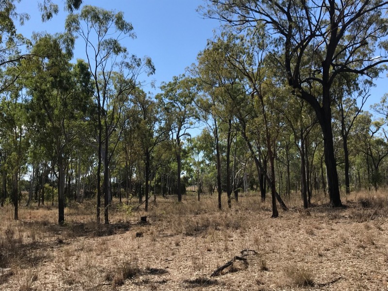 Lot 157 Connors Road, Stanwell QLD 4702