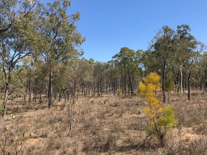 Lot 157 Connors Road, Stanwell QLD 4702